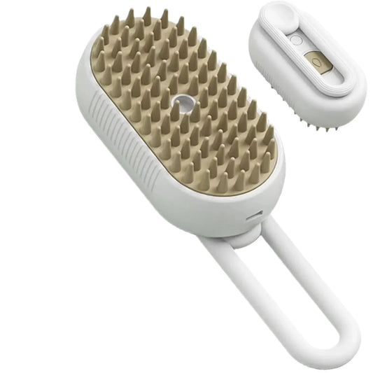 Electric Steam Brush